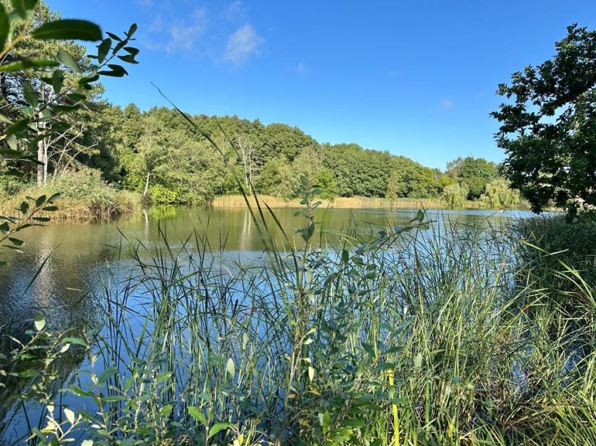 Images for Mytchett, Camberley