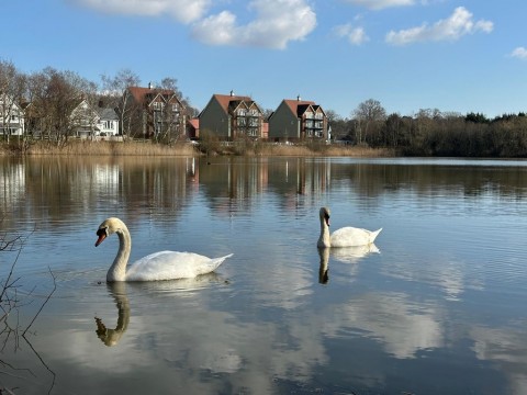 View Full Details for Lake Avenue, Mytchett, Camberley