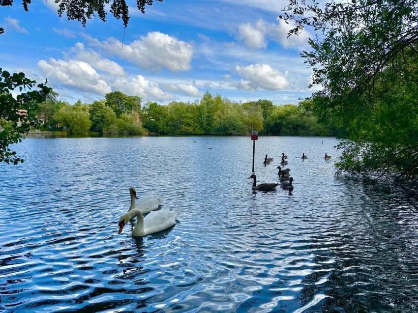 Images for Frimley, Camberley