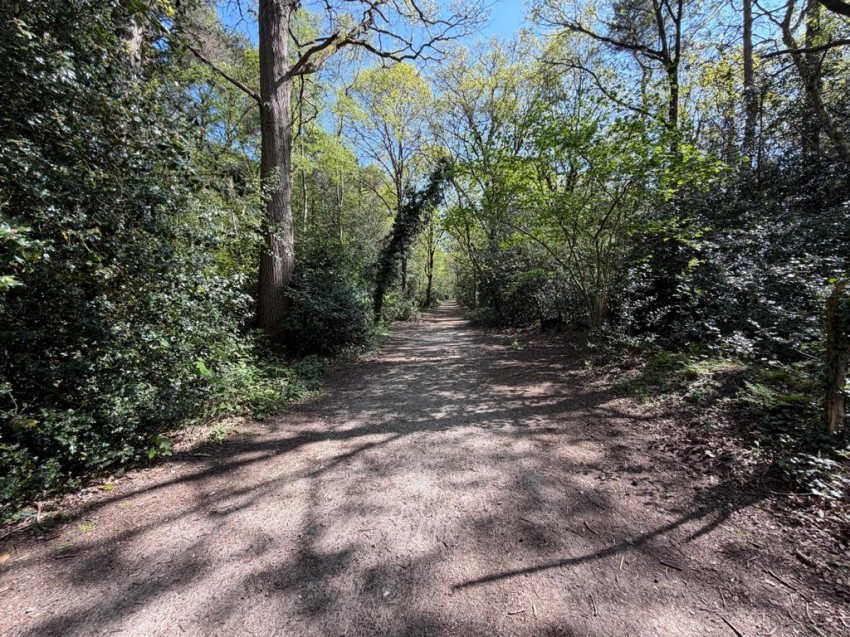 Images for Regent Way, Frimley, Camberley